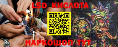 дмт Рыбинск
