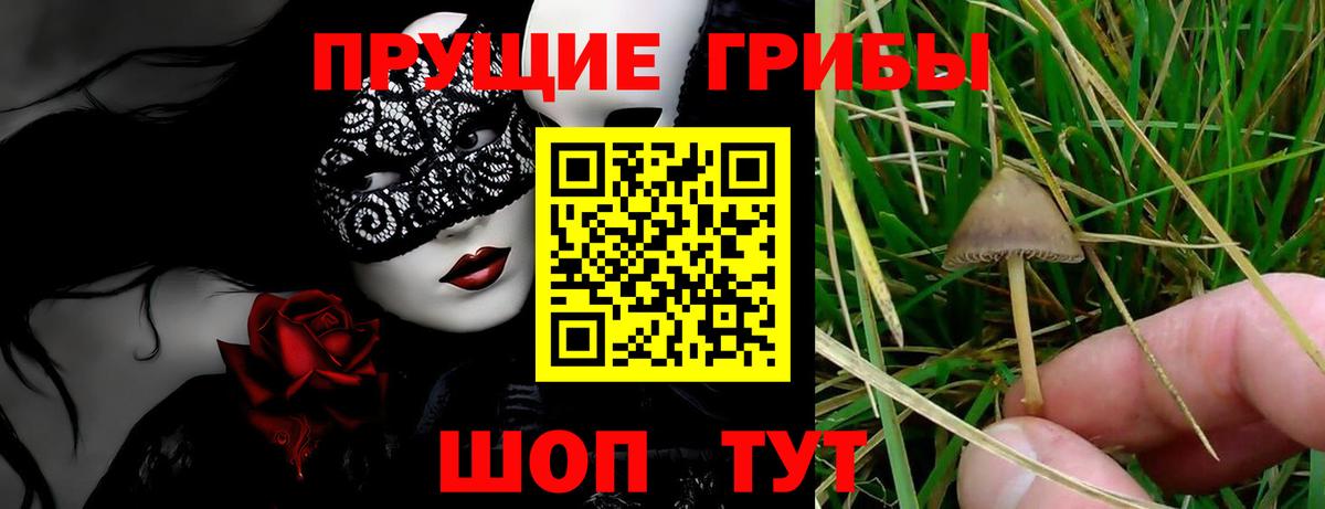 Галлюциногенные грибы ЛСД  Псилоцибиновые грибы прущие грибы  Вход с VPN  Тосно 